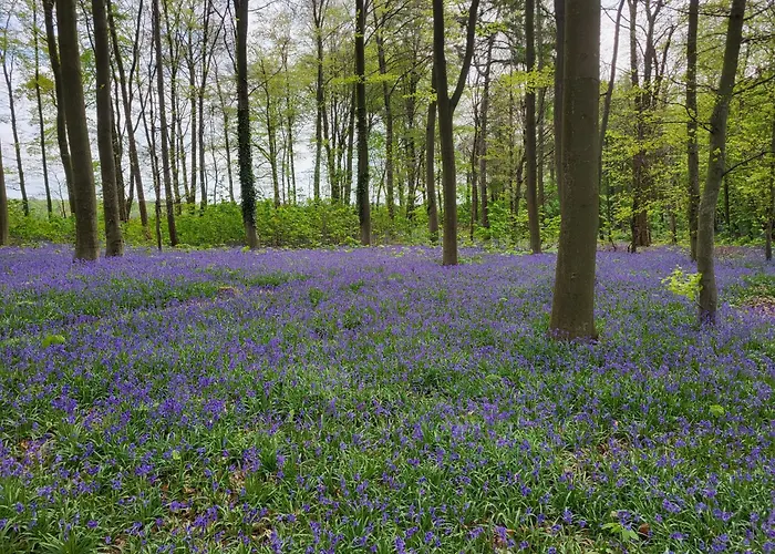 Lamai 公寓 埃尔克伦茨